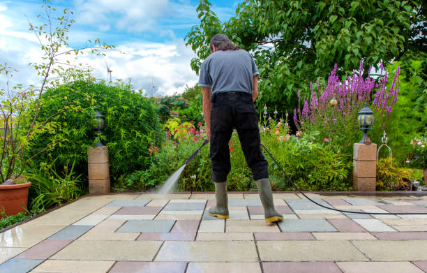 Best Pool Deck Cleaning  in Amesti, CA